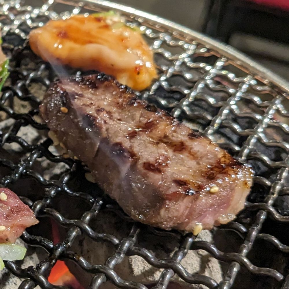 鳥肉売切