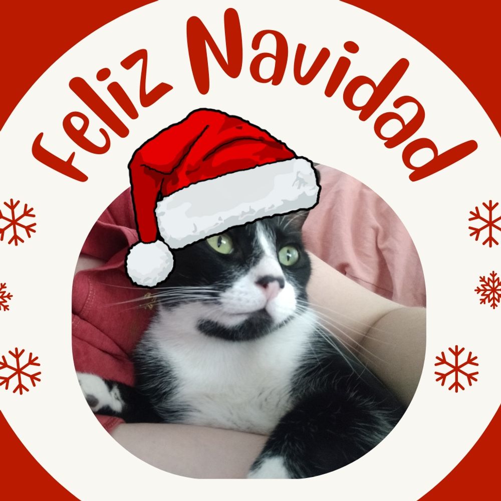 🎄Paola Celeste em clima de Natal 🎄