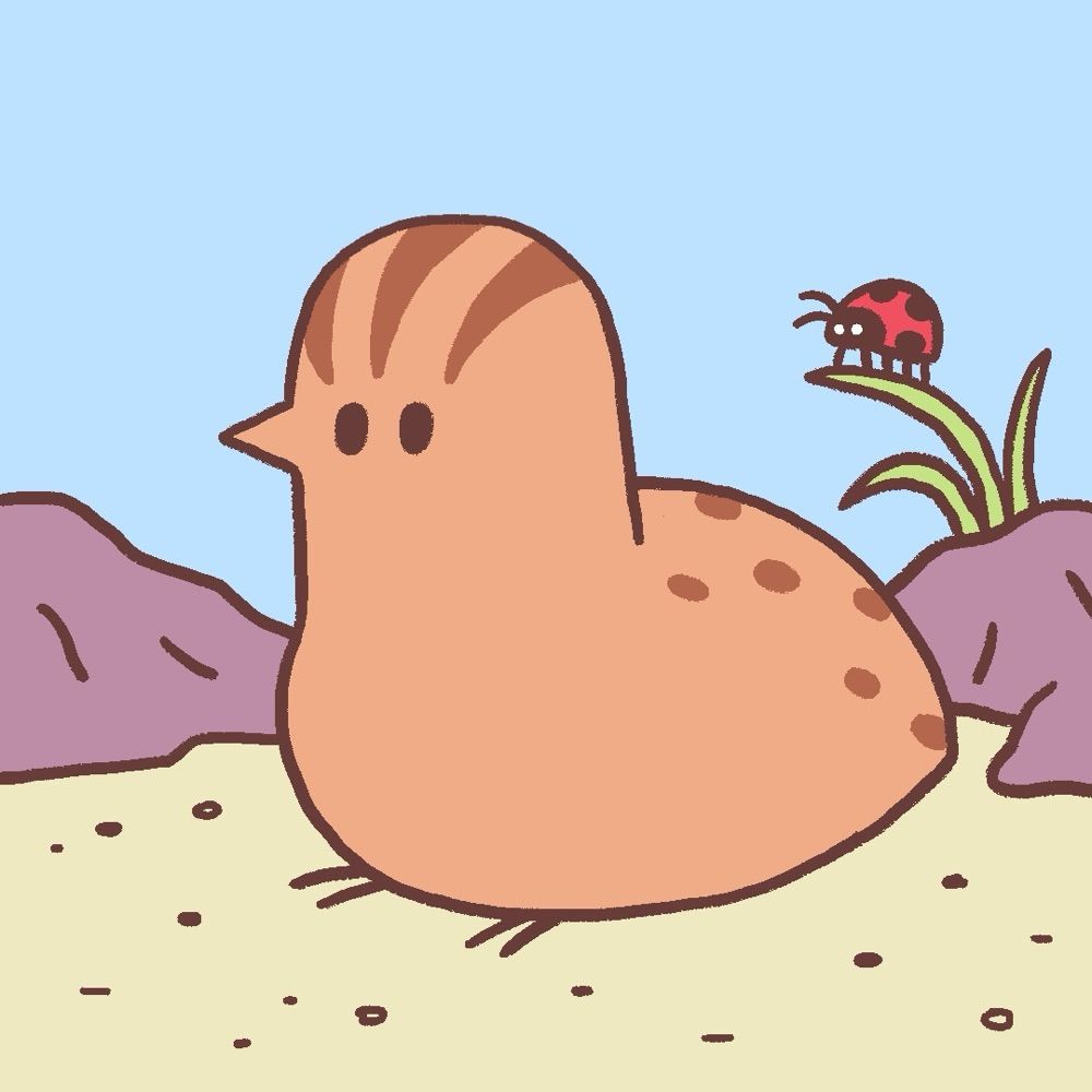 common quails