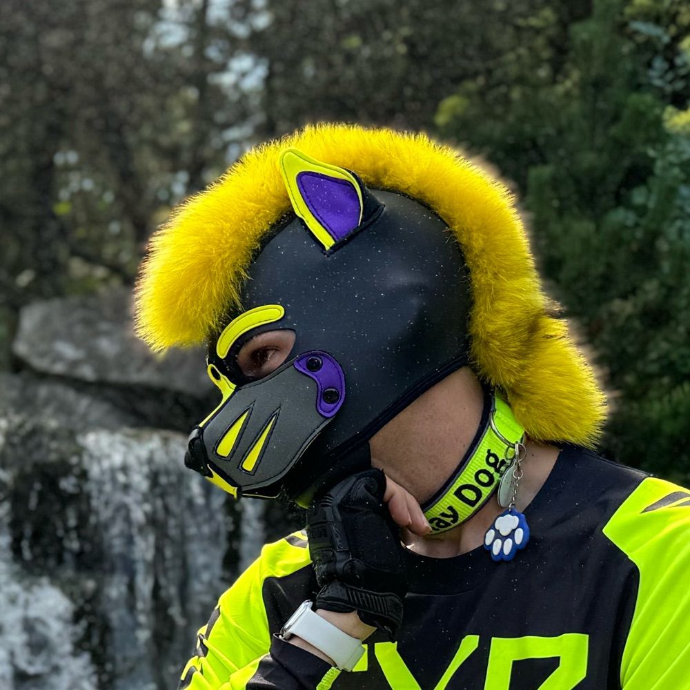 Raydog
