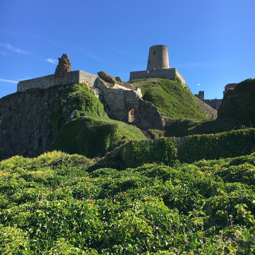 Bamburgh Research Project