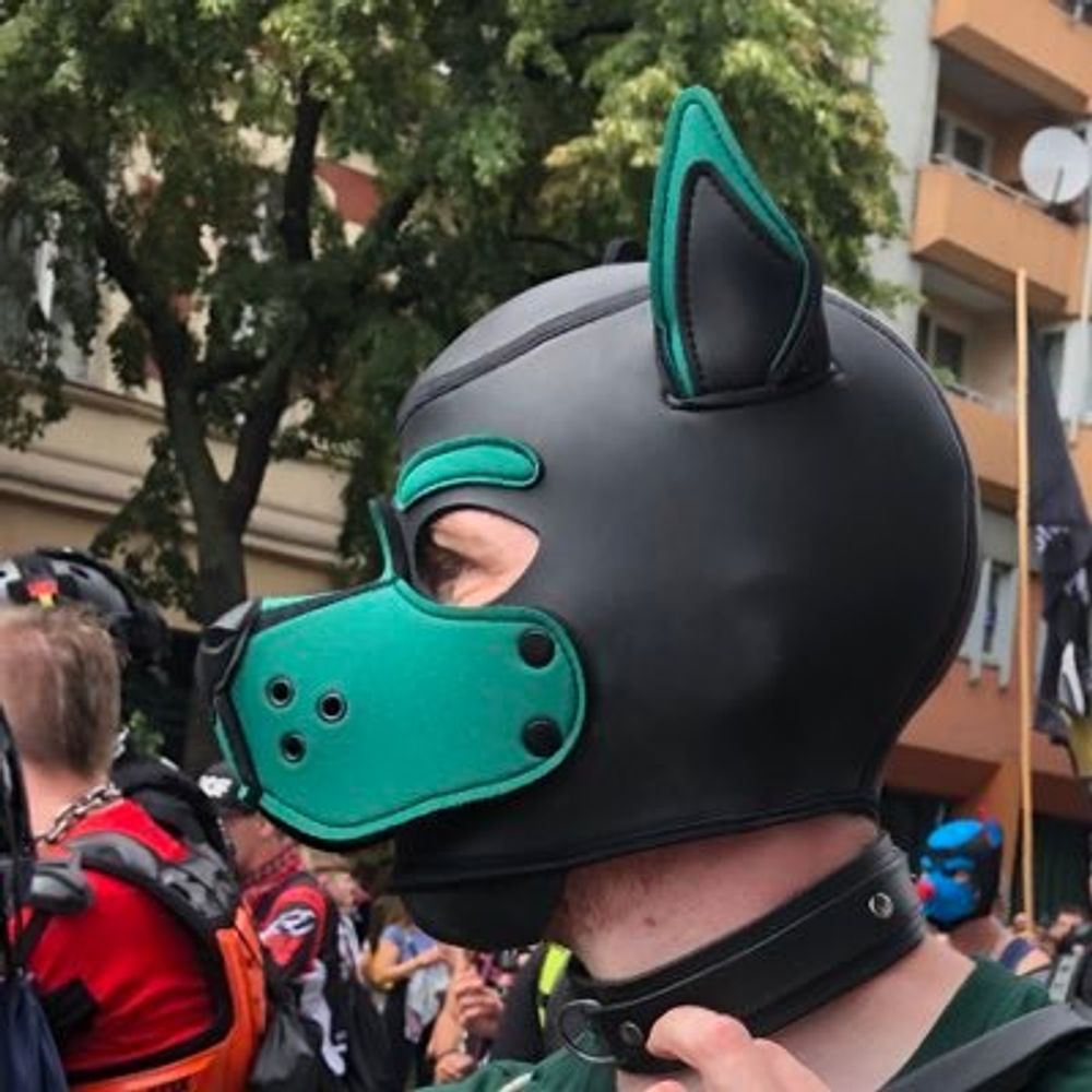 Pup Cosmo
