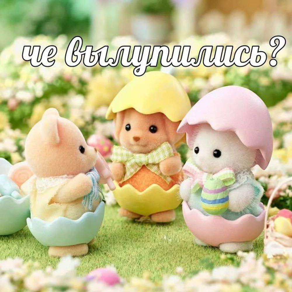 селëдка