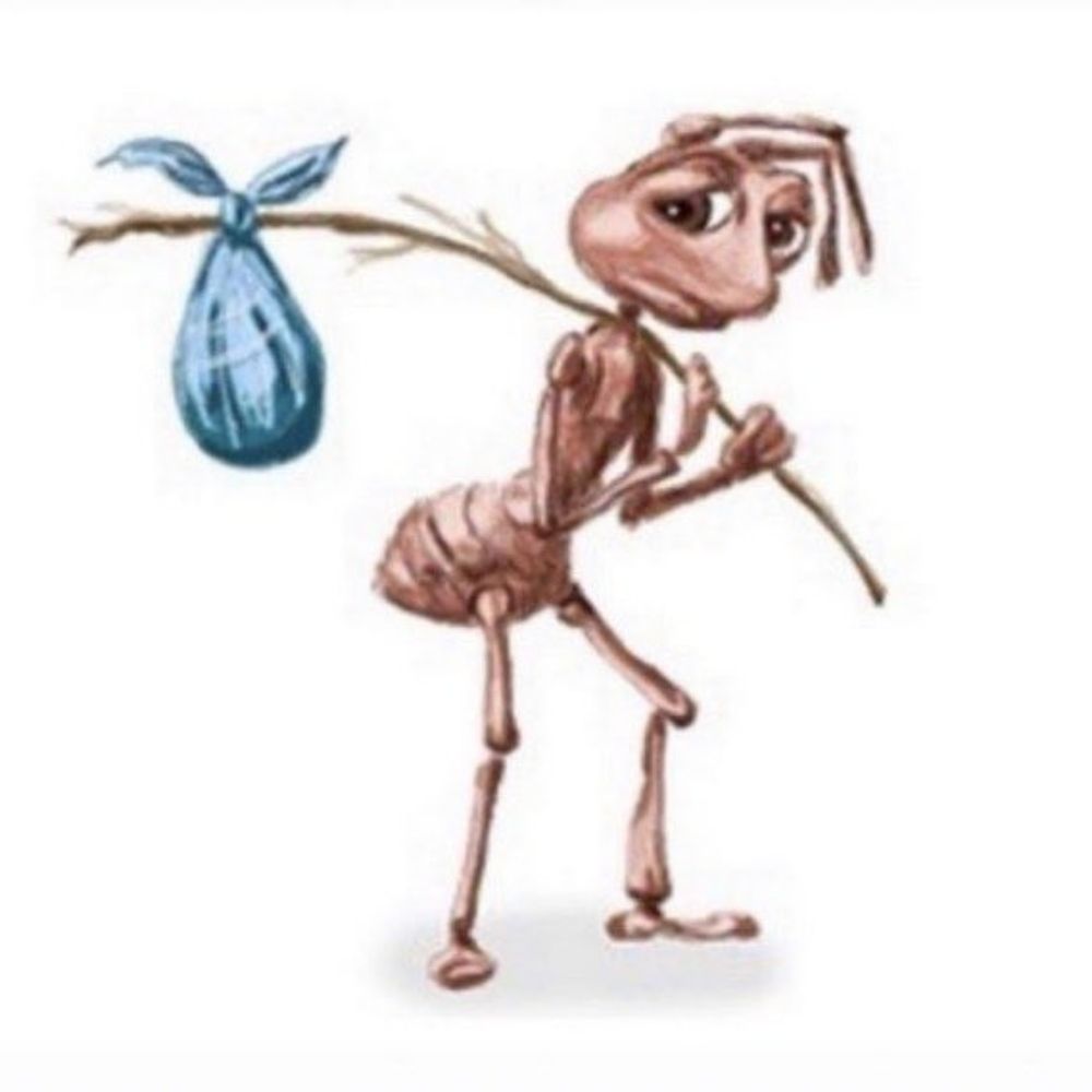 rafa