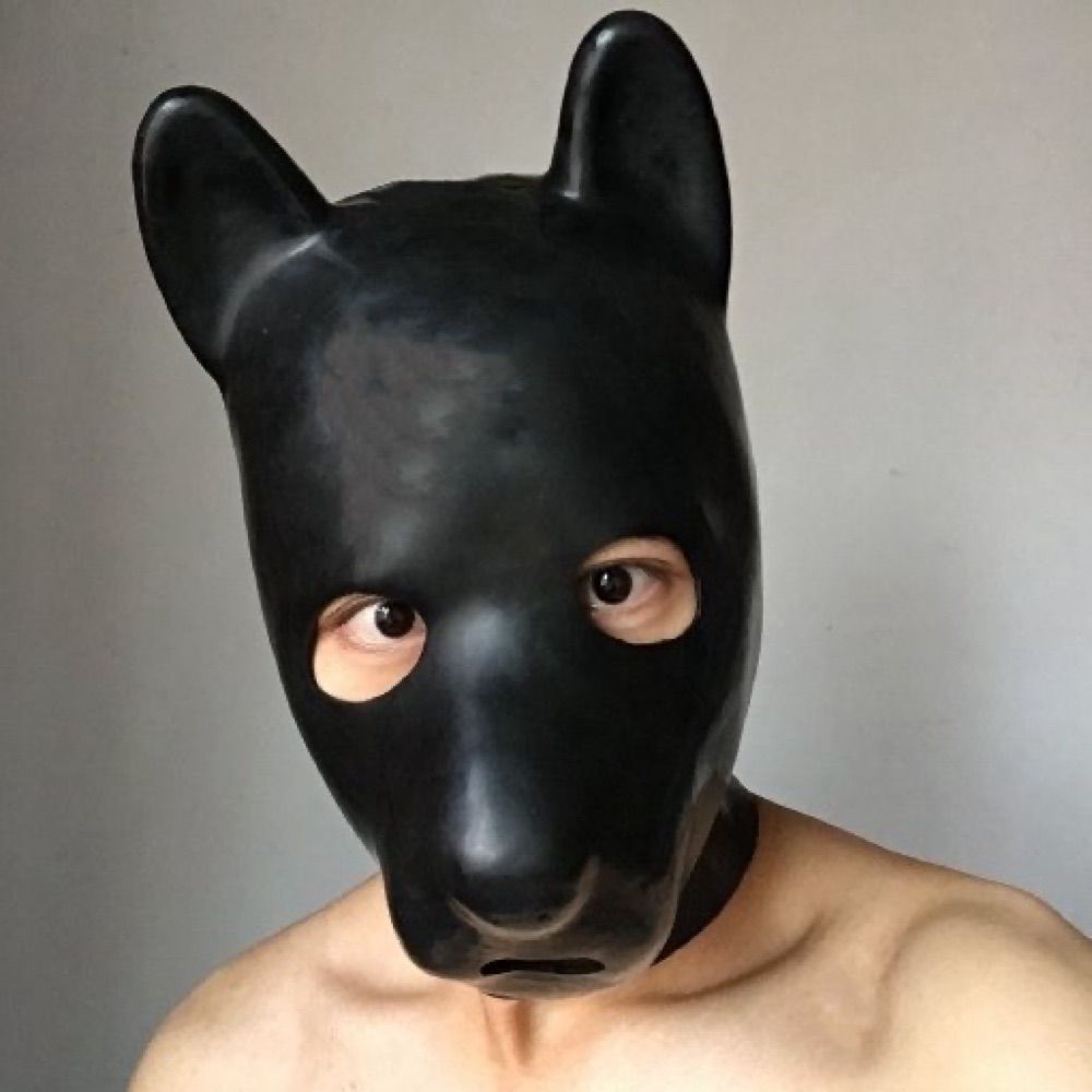 人犬淦淦
