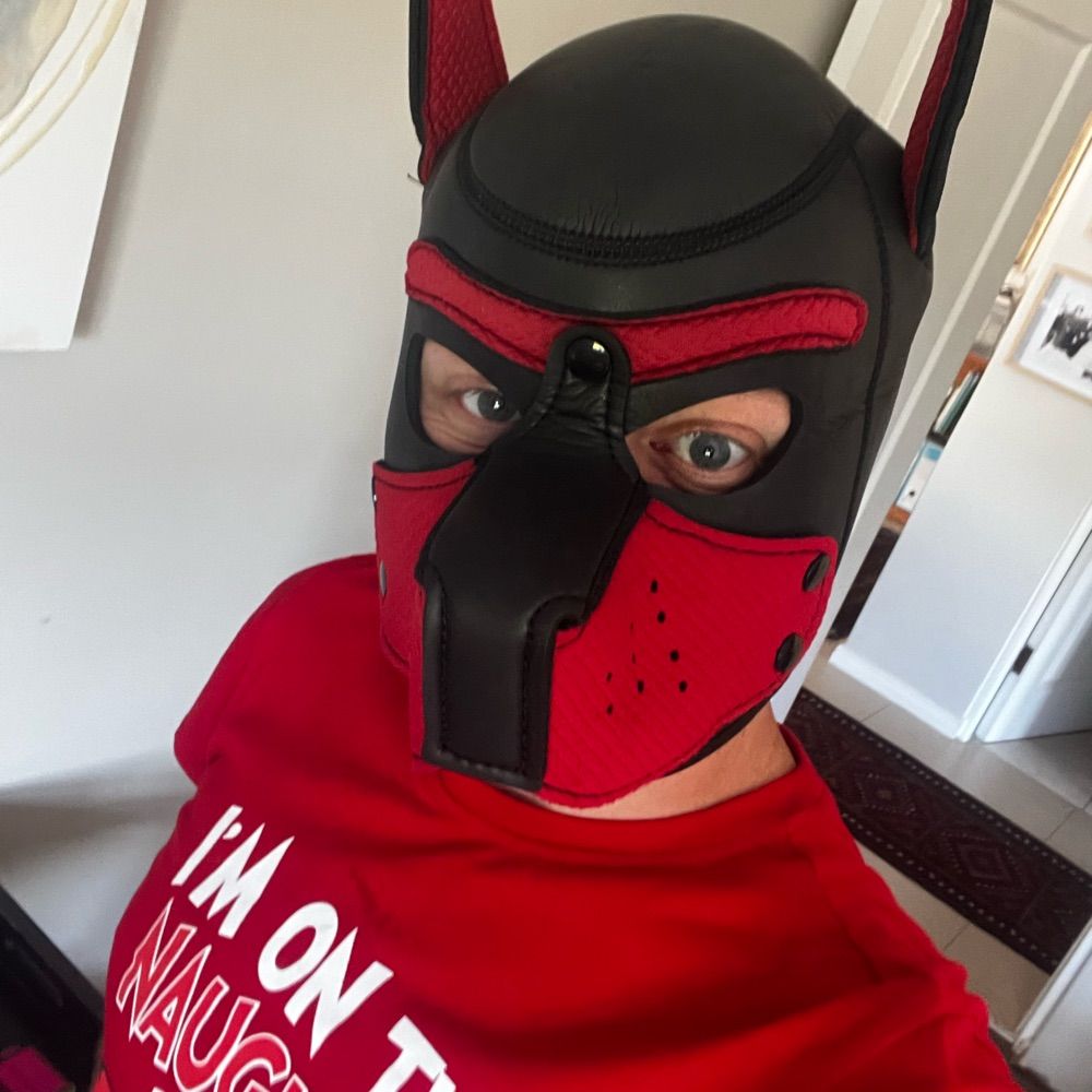 Naughty Puppy