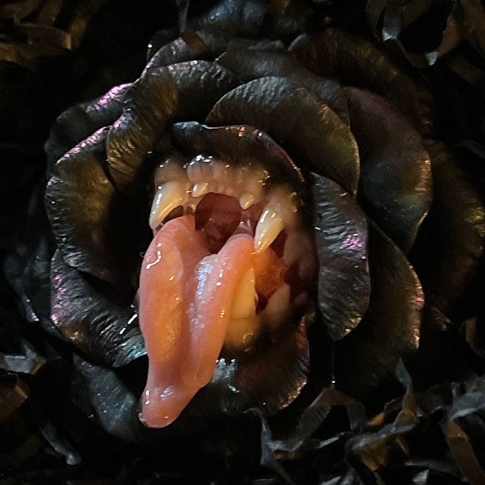 Black Rose