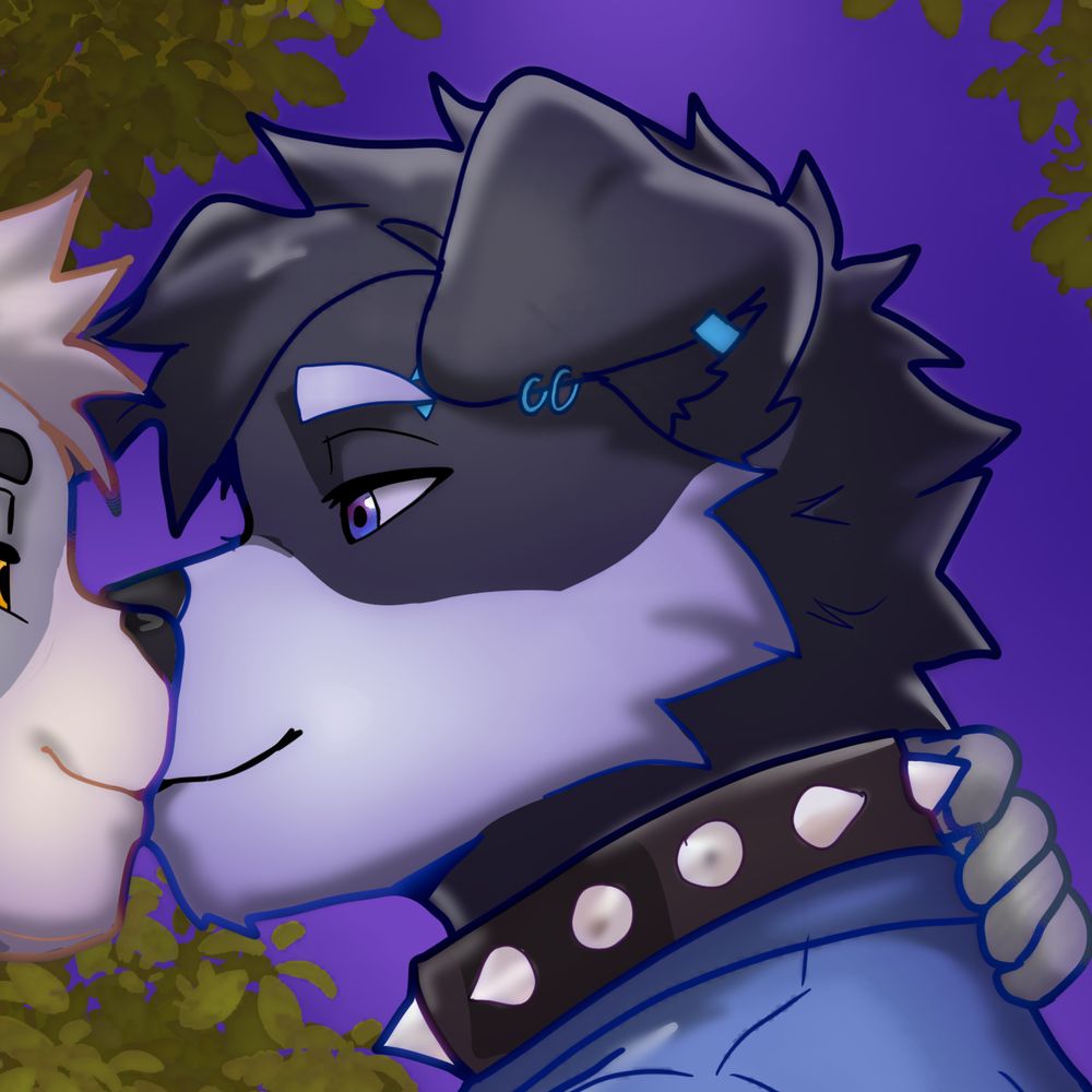 Boof