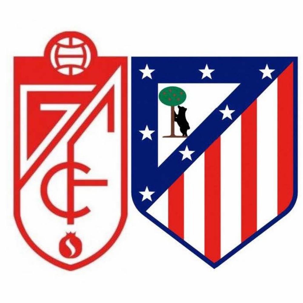Diego Robles
