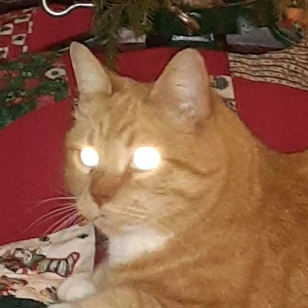ShadowSprite