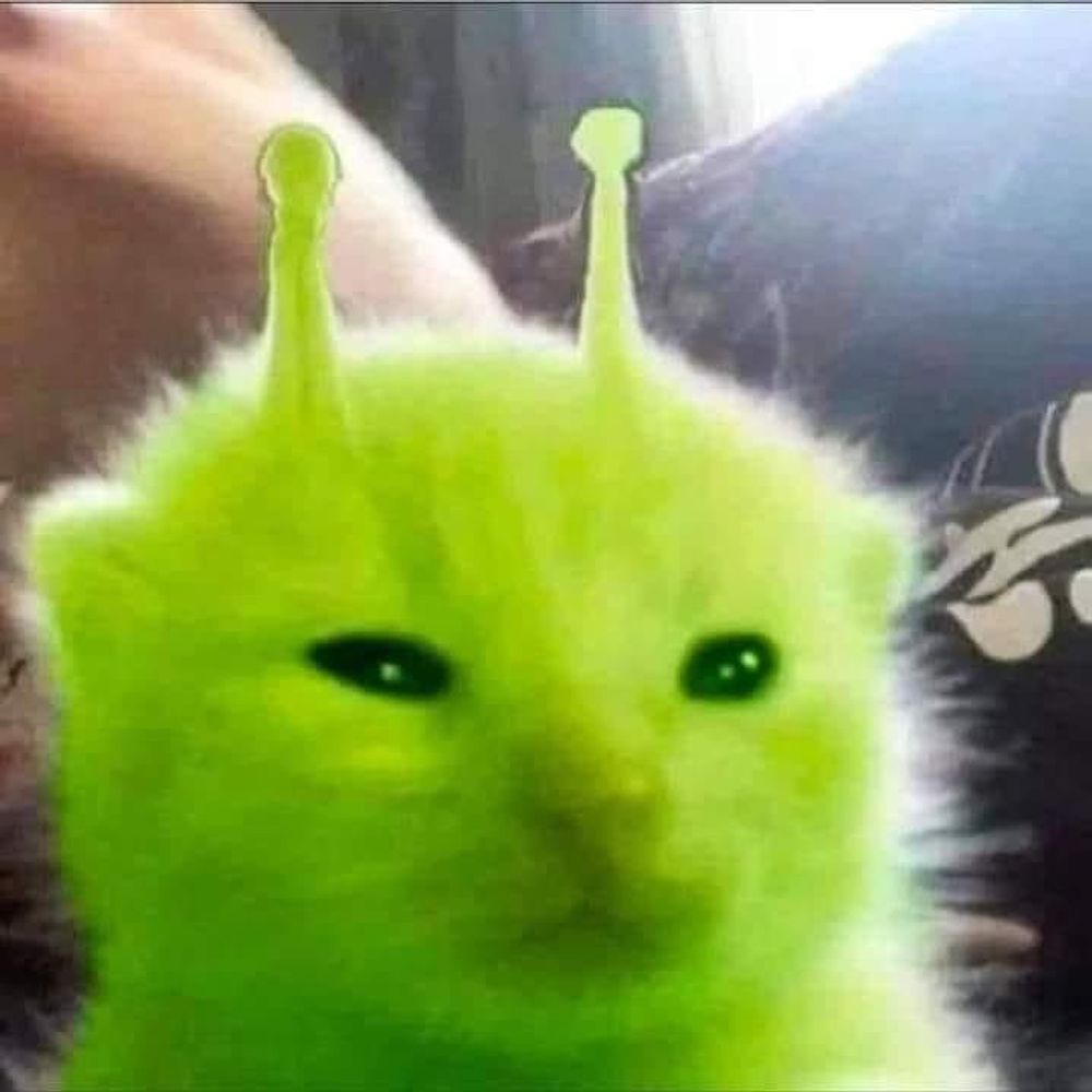 αʍuchι 👽​🦋