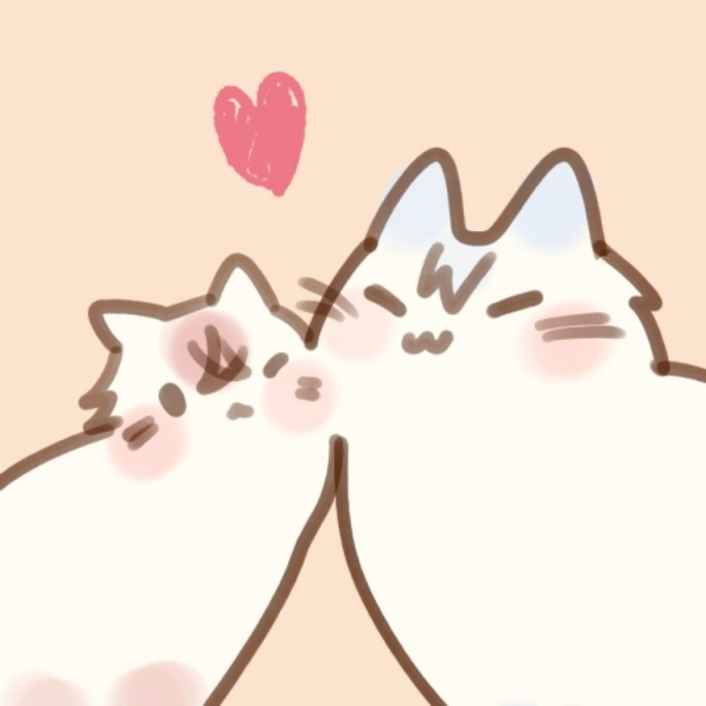 ♀🐈‍⬛ ͗