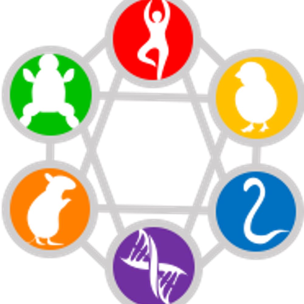 Norwich Developmental Biology & Stem Cell Network