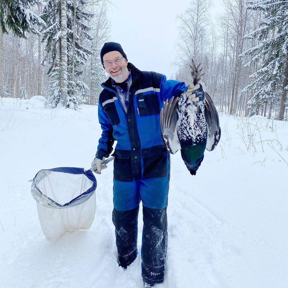 Pekka Raukko