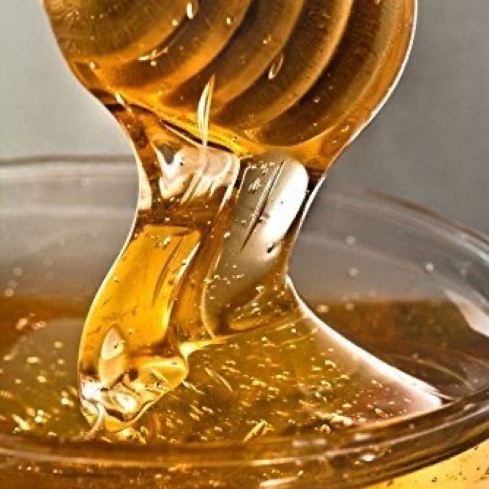 Honey Tree Healing Farm