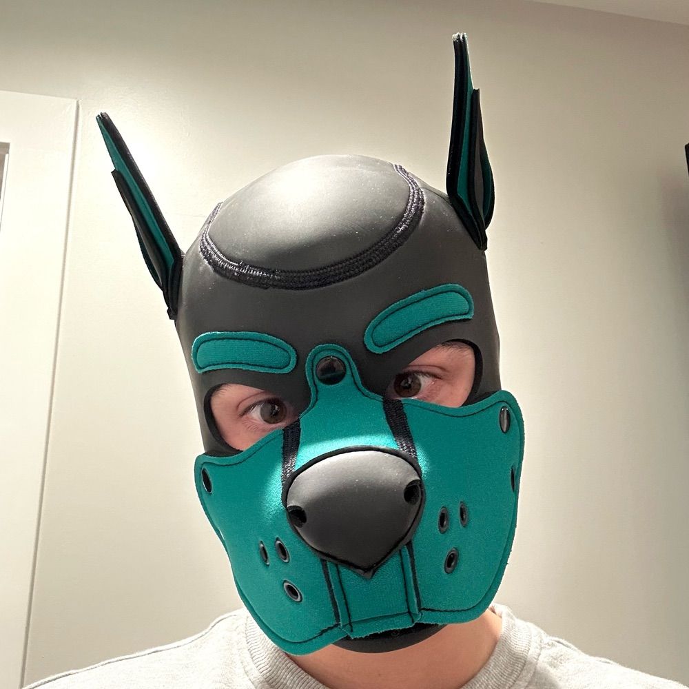 Bro Pup