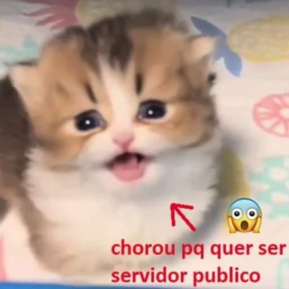 Capitu Peituda