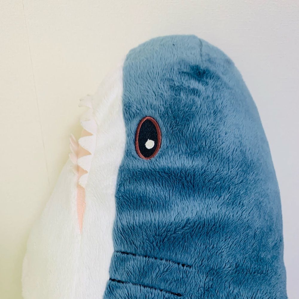shinnosuke