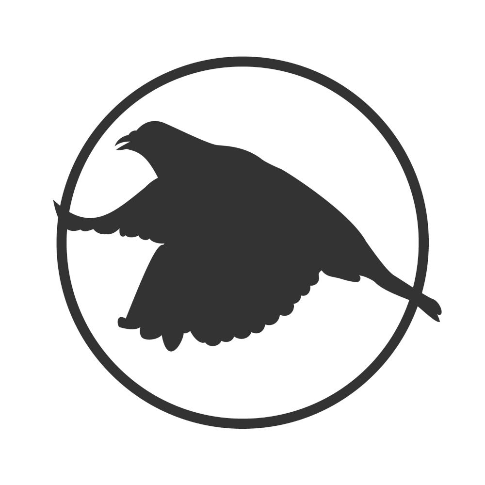 H L Birdsong's avatar