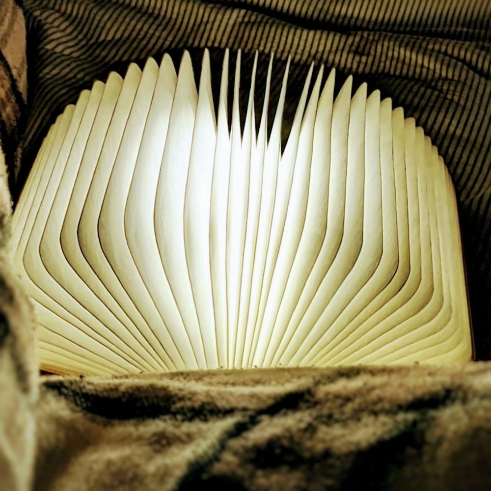 Lena - Büchernest
