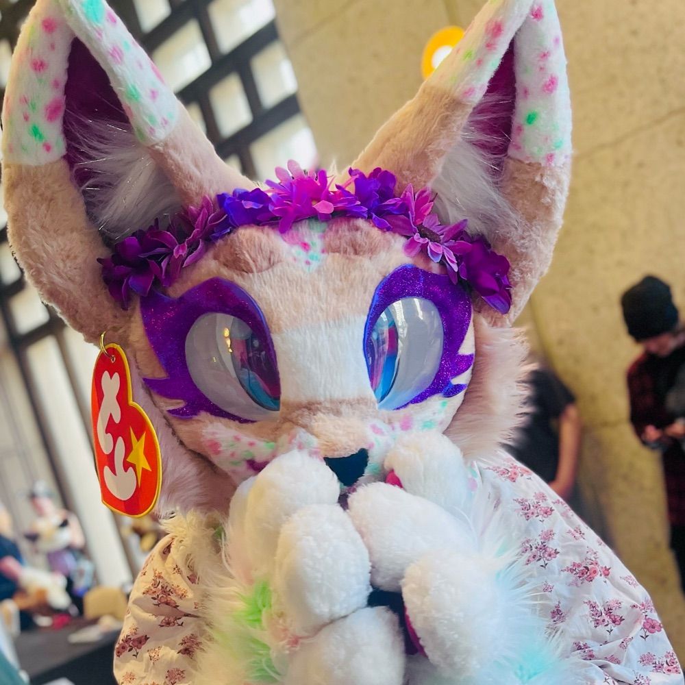 Chochi / AmberAlert