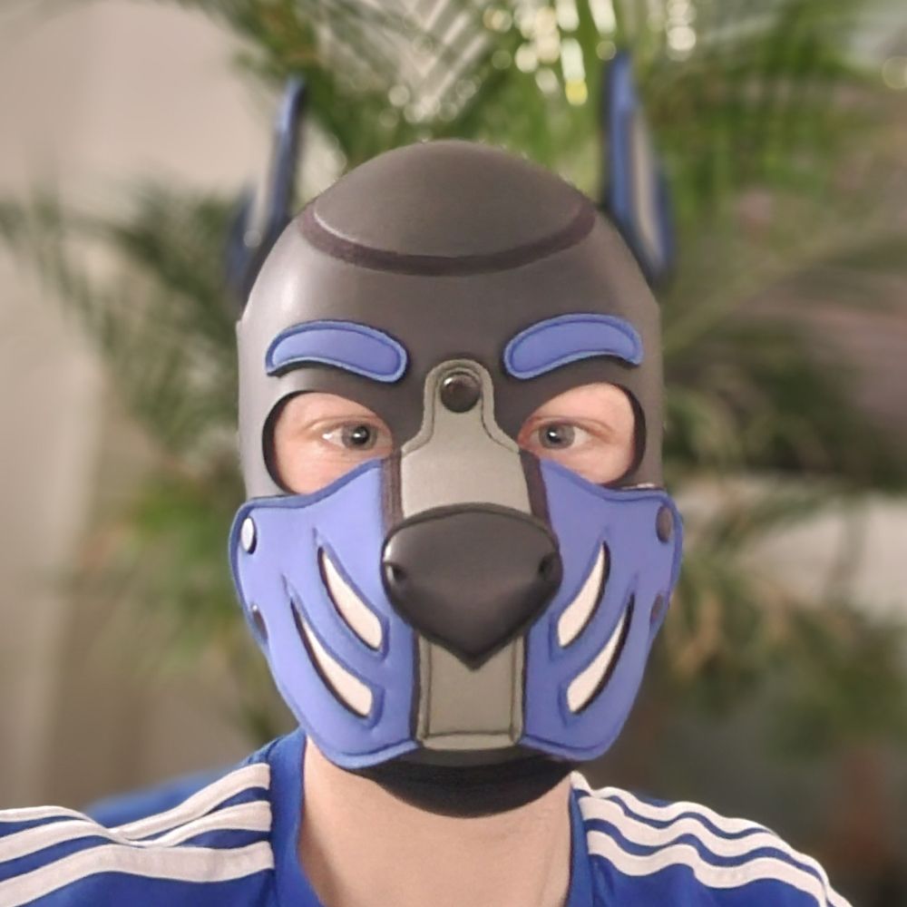Toto - Leather|Rubber|Puppy
