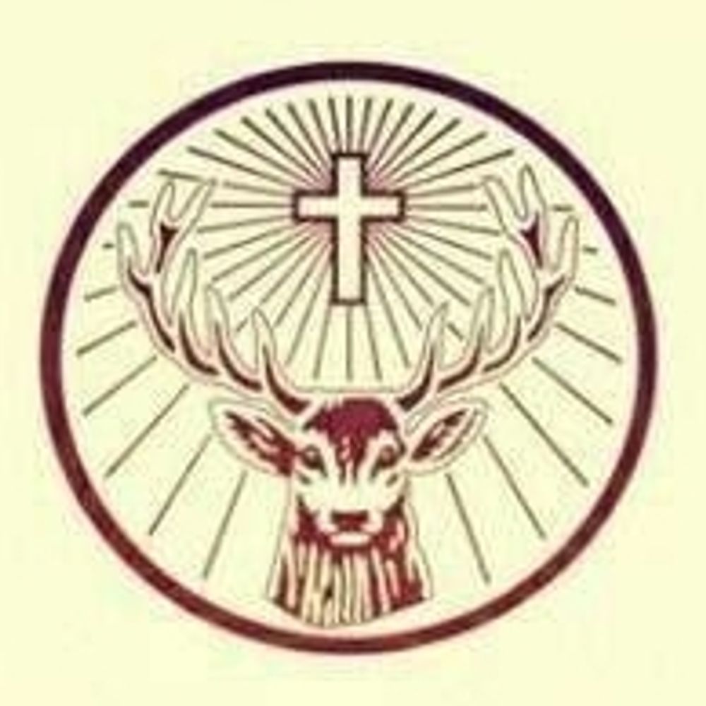 abqbottom.bsky.social profile picture