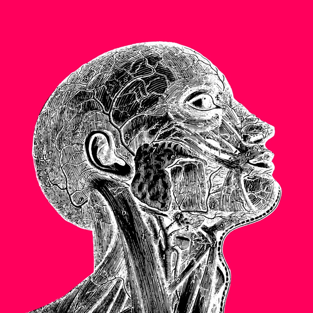 R.L. Black