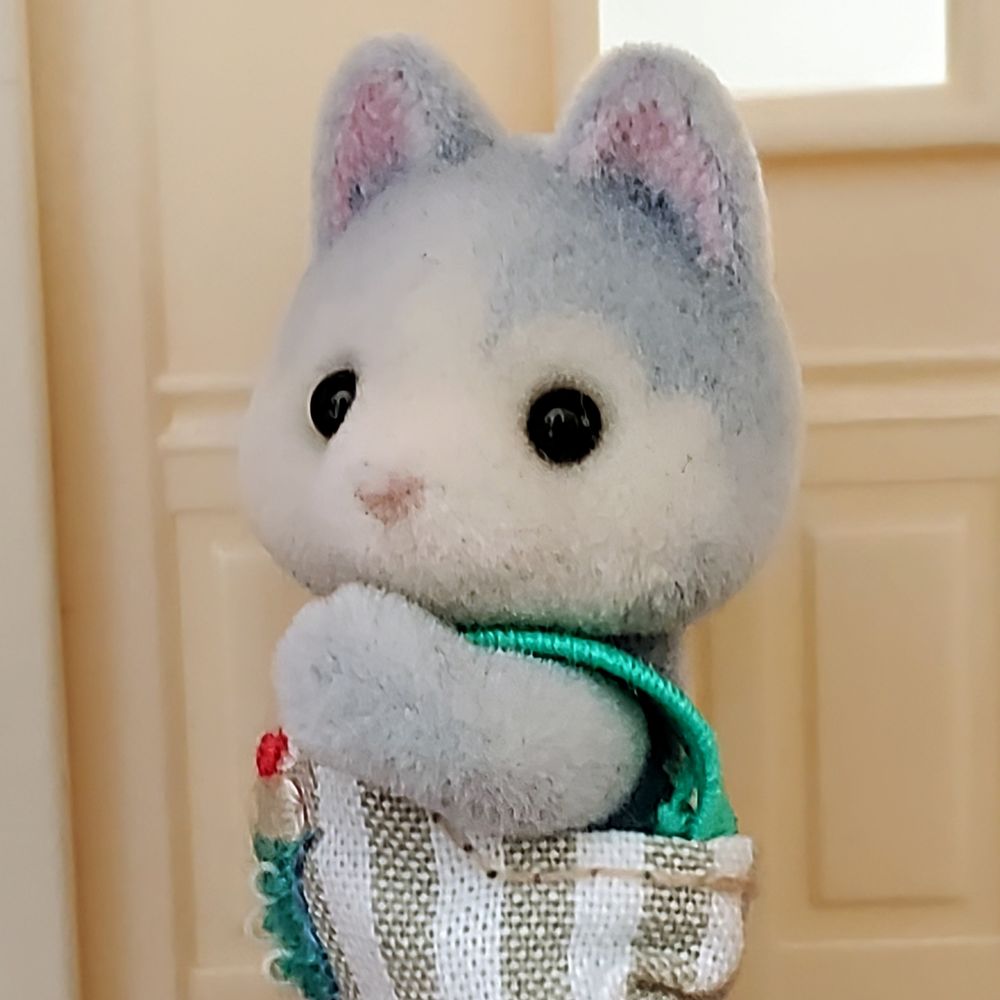 はち。