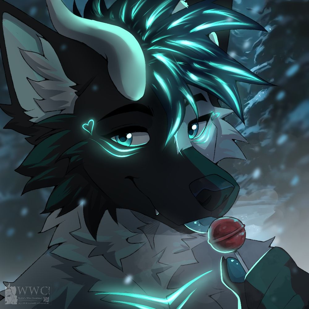 Velonte_Fox