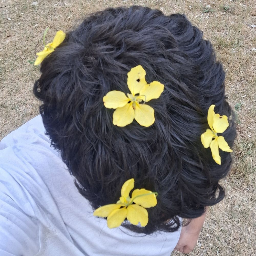 Pinheiro 