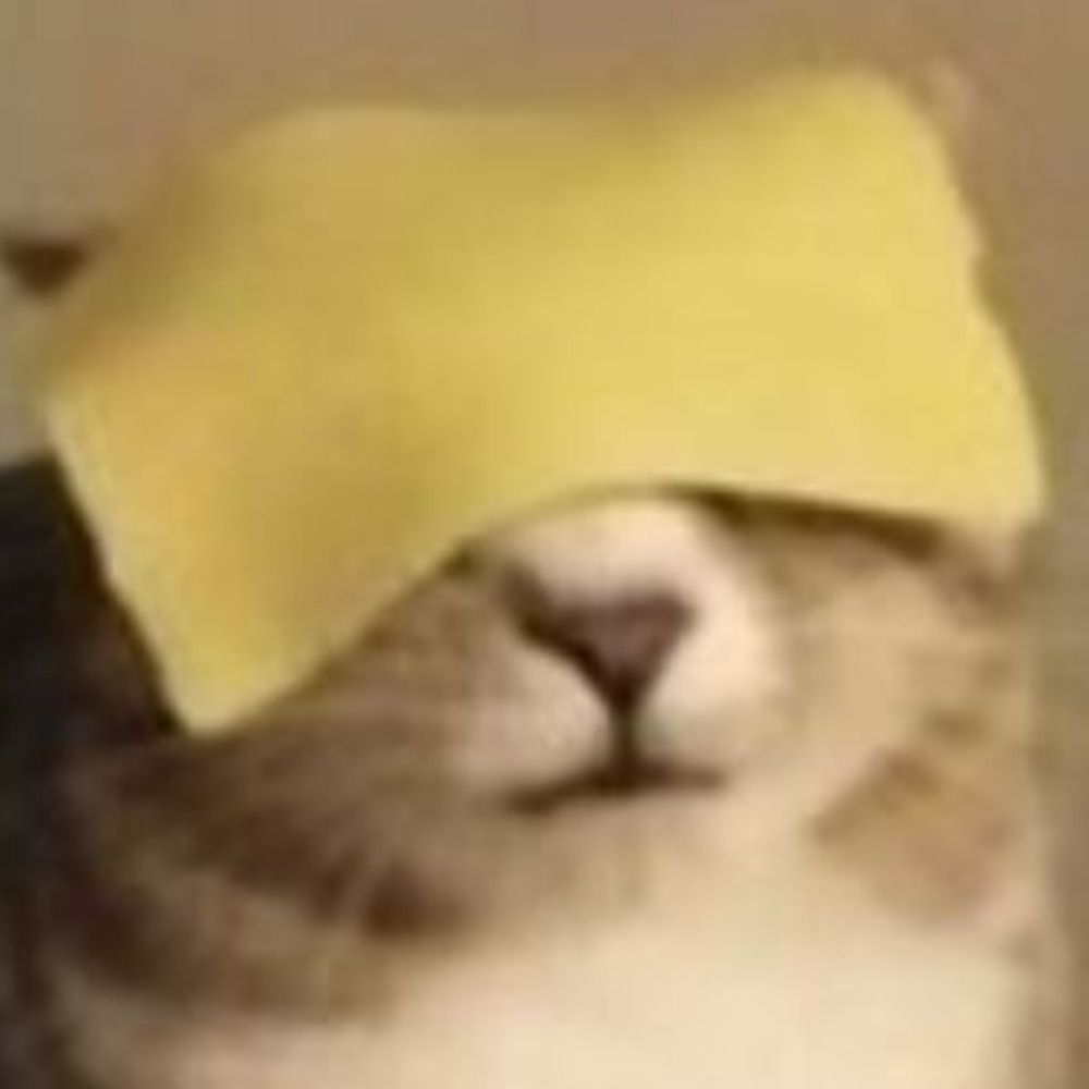 Stephmo