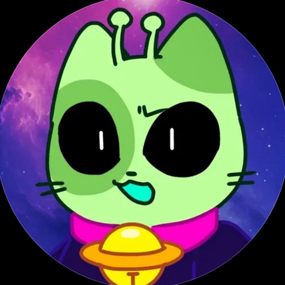 ✮ ⊹ 𝙋𝙄𝙋 ⊹ ✮