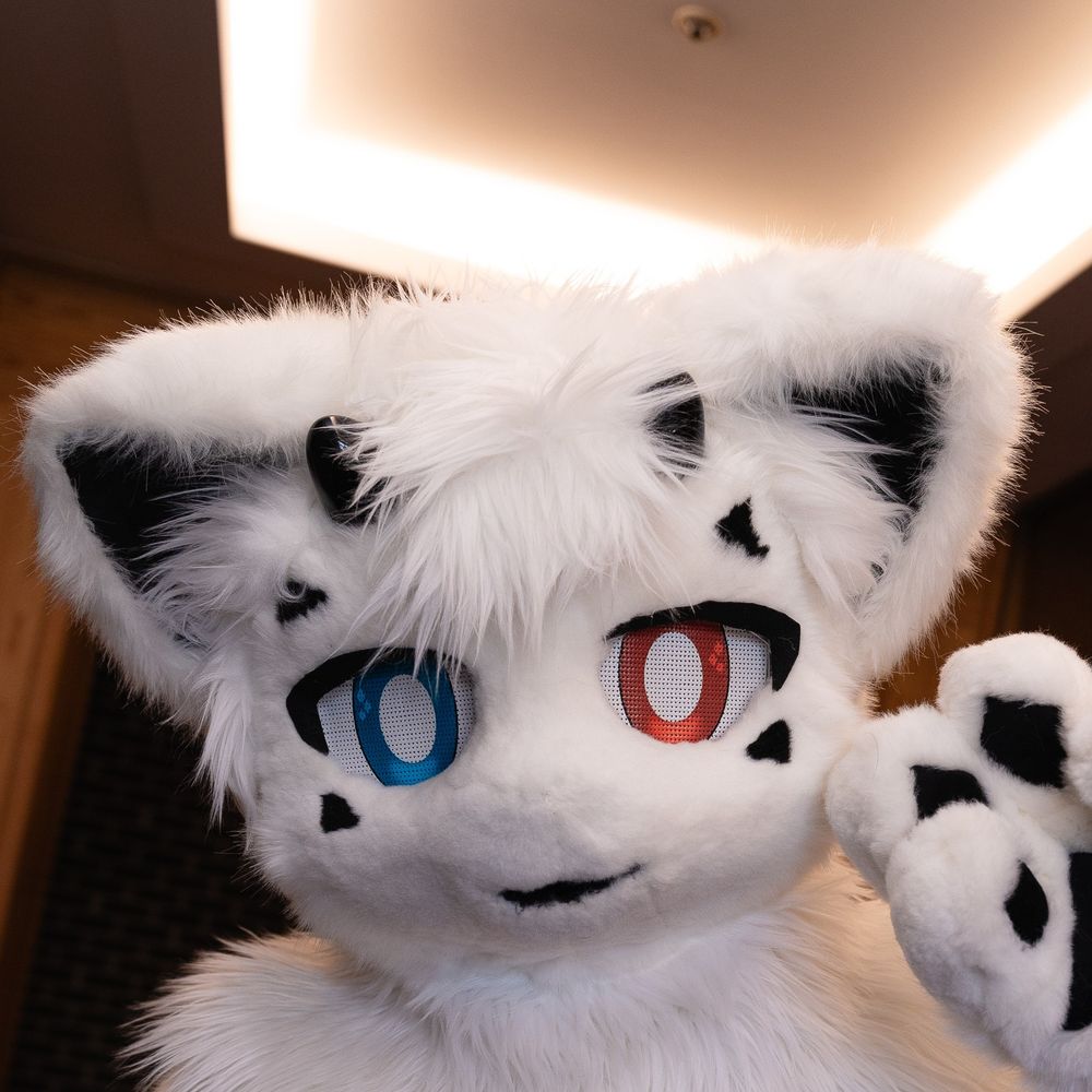 Shadowy Fursuit Studio