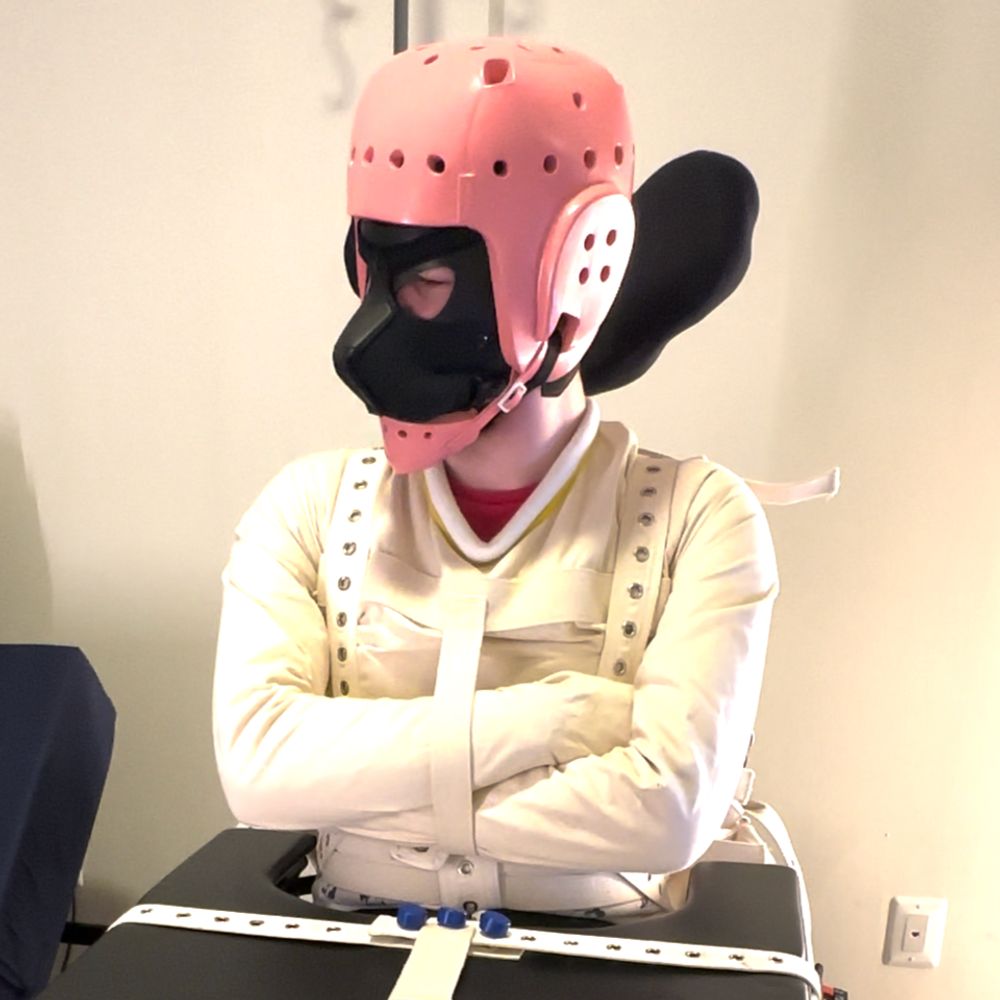 LittleBigPupper
