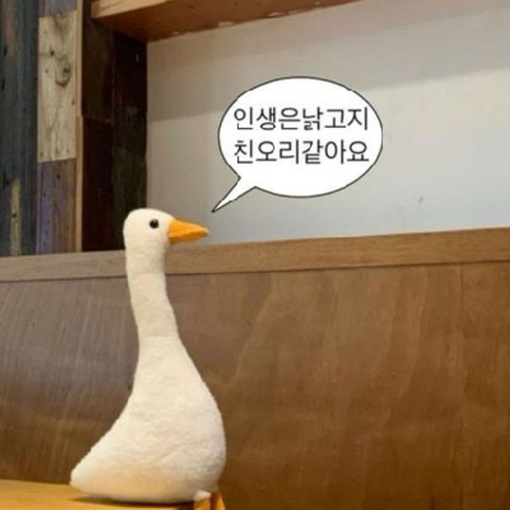 새우 :duckduckgo: