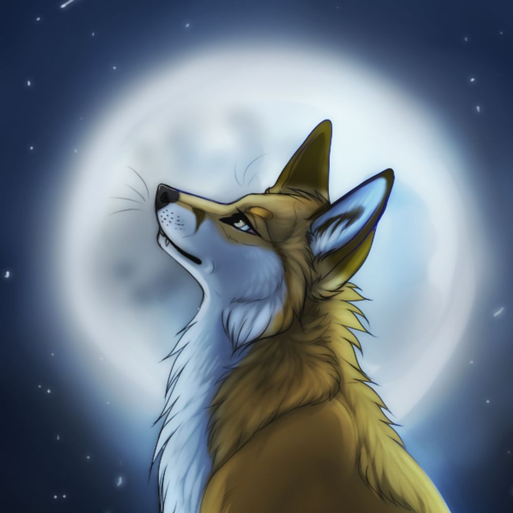 Jasper Fox