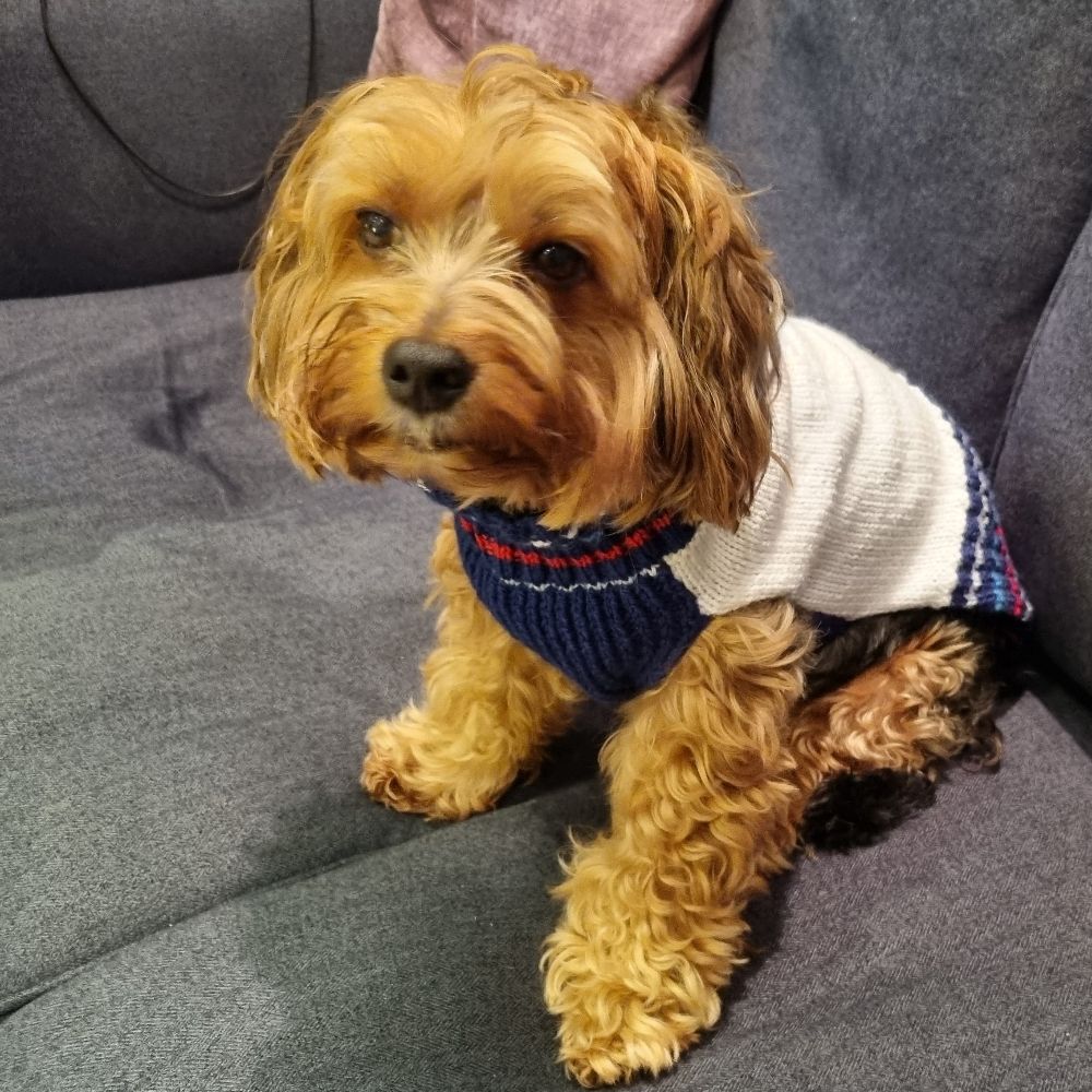 Max