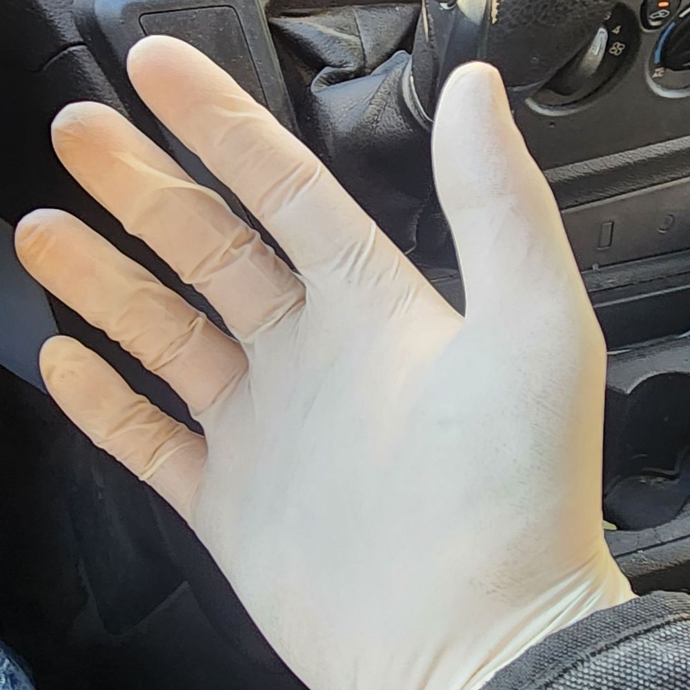 Gloved in WA