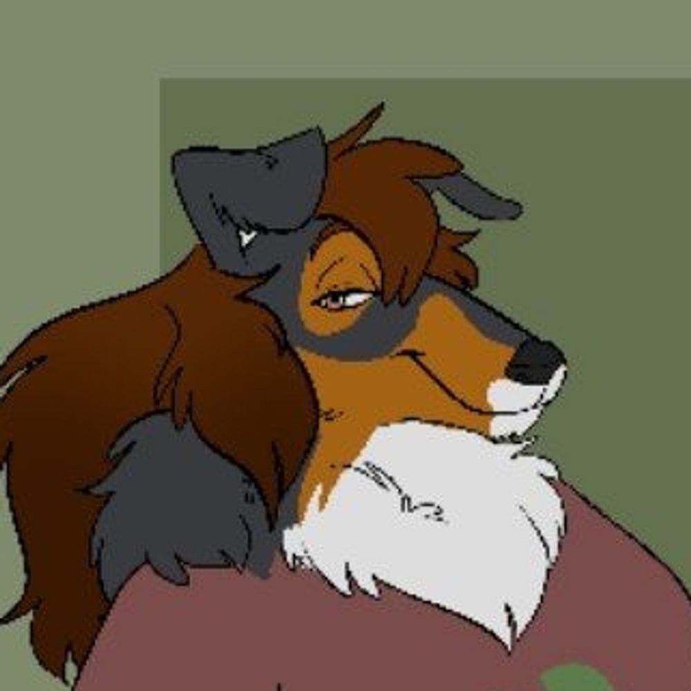 COLLIE MOM
