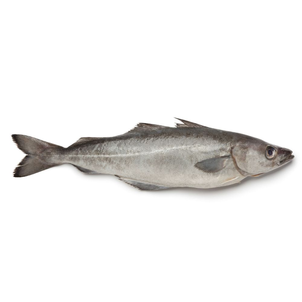 Ellen Brooks Pollock