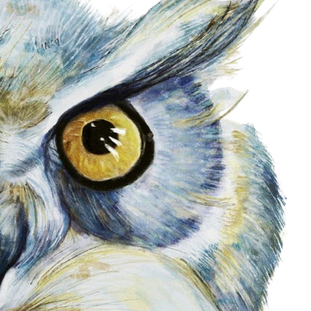 BlueOwl