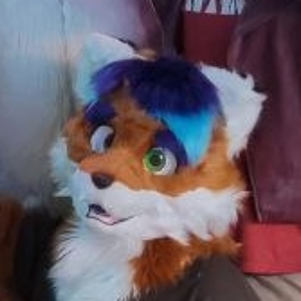 🏹 Arrow Fox 🦊