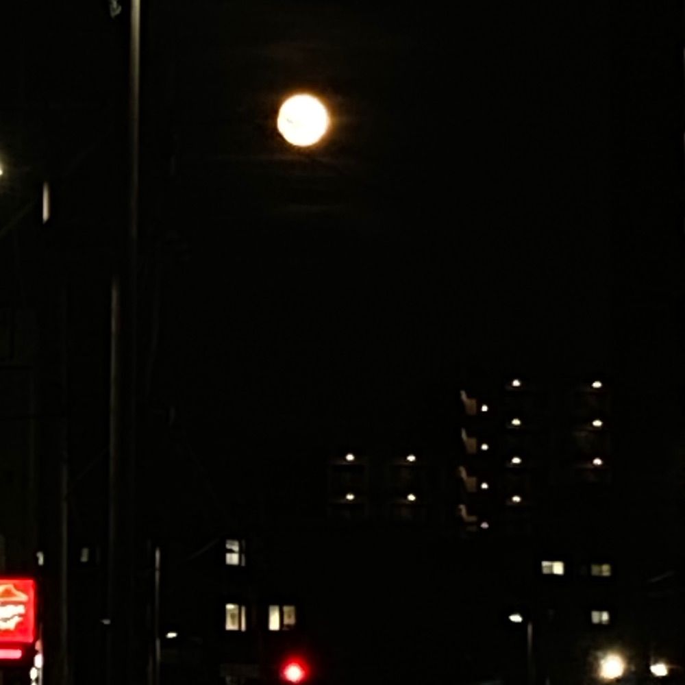 🎇