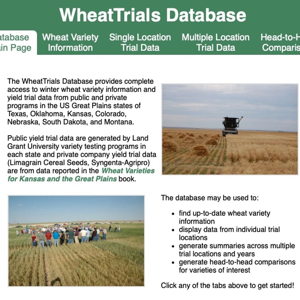 WheatTrials