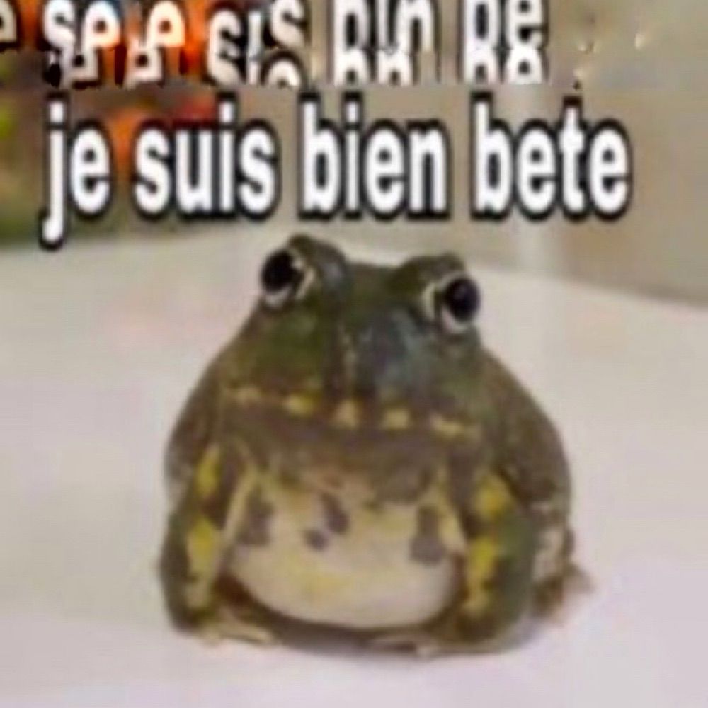 niko samagass