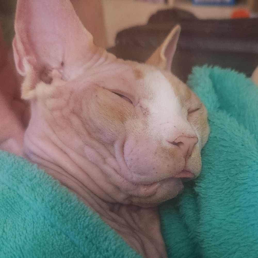 Khai