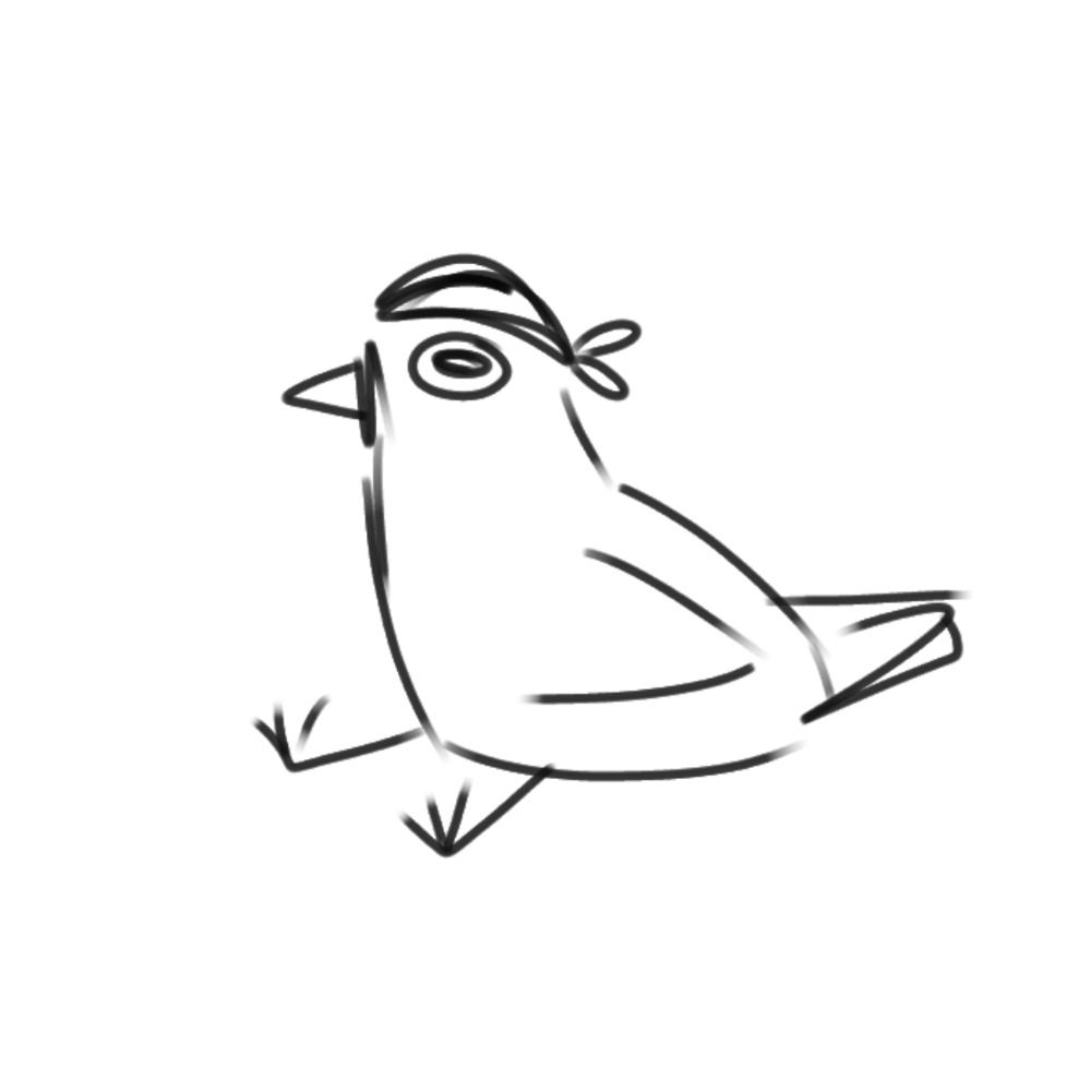 sock