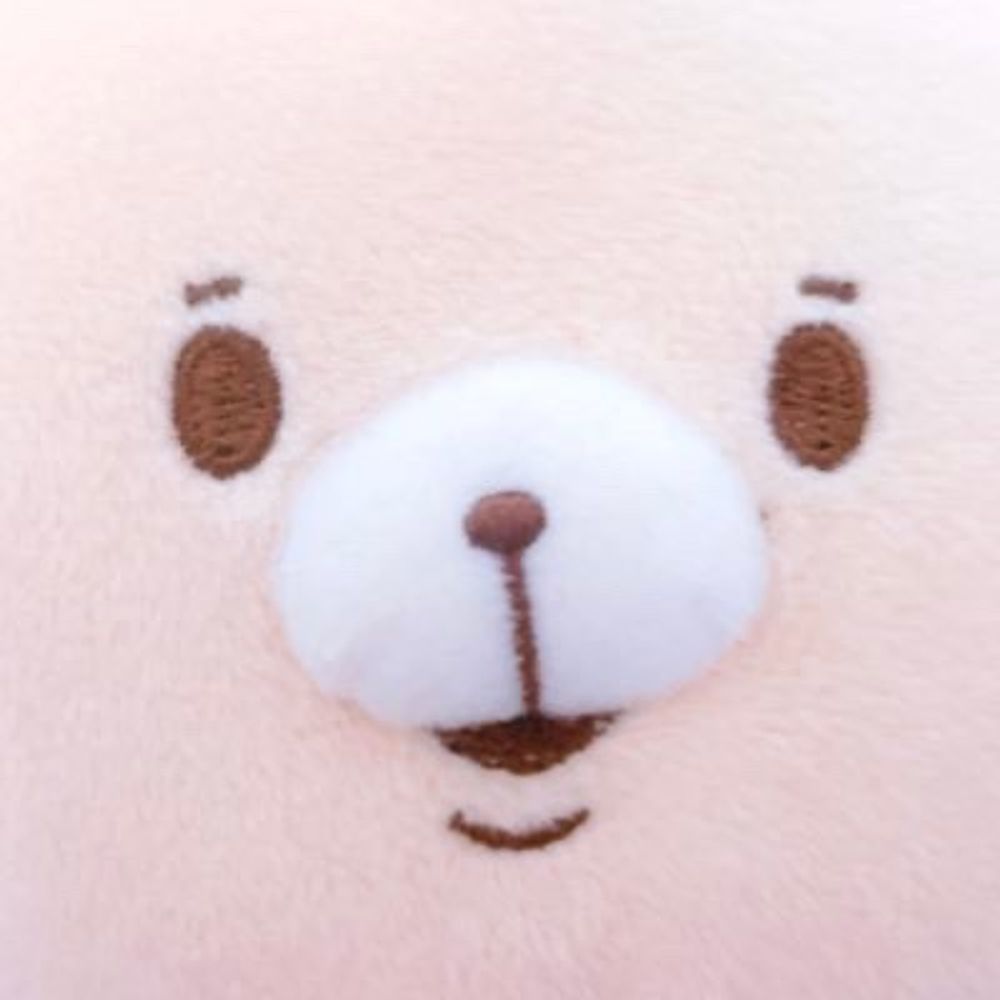 🐻‍