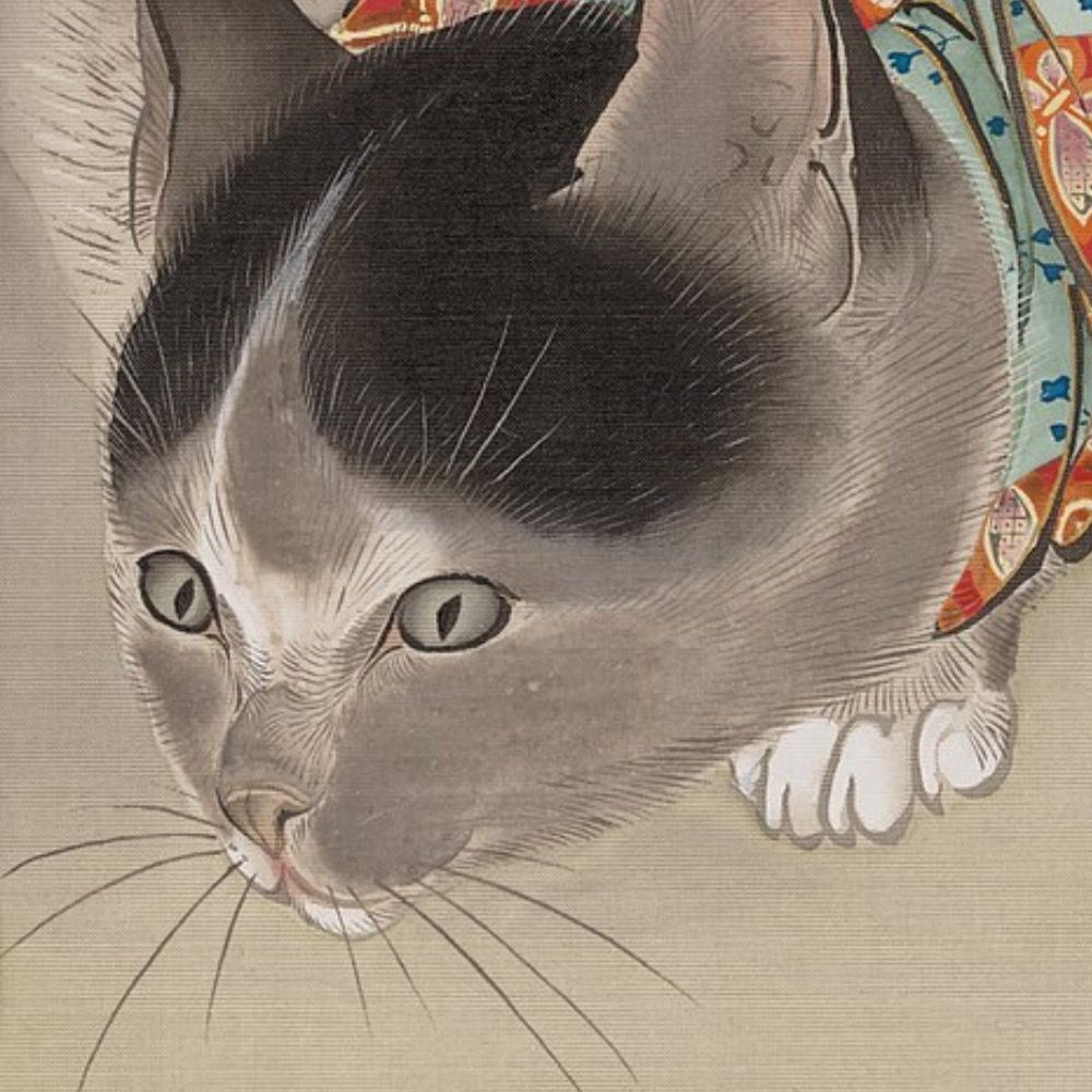 nekodearu